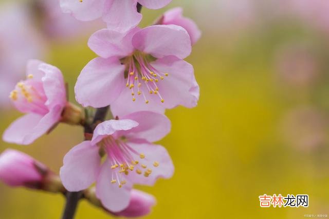 张爱玲说：“于千万人之中 男人和女人相处，要懂得经营感情，也要懂得一些说话上的小技巧