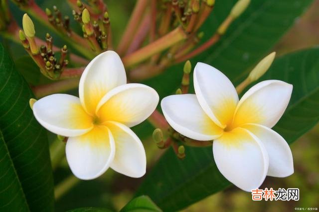 张爱玲说:“于千万人之中 男人和女人相处,要懂得经营感情,也要懂得一些说话上的小技巧