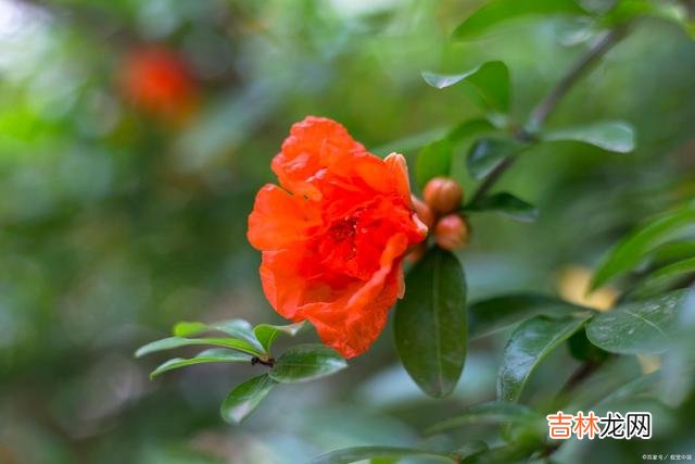 张爱玲说:“于千万人之中 男人和女人相处,要懂得经营感情,也要懂得一些说话上的小技巧