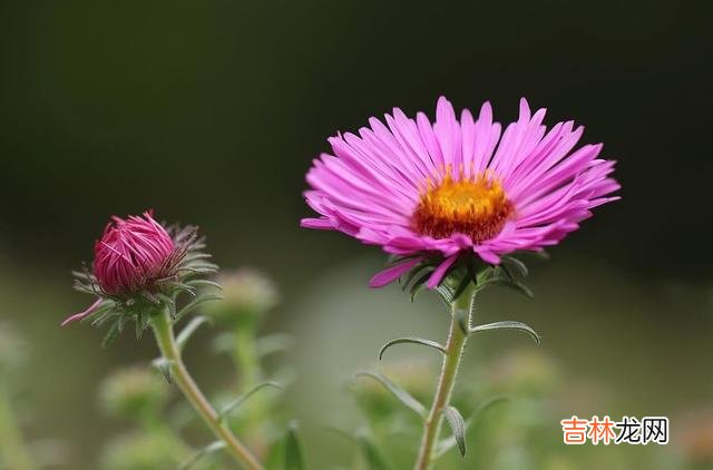 中国是礼仪之邦 友情，的确是人与人之间的，一种美好的情感