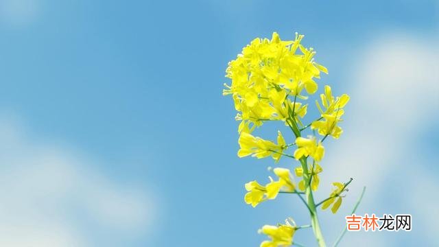 人生 生活，从来不会亏待一个愿意努力的人