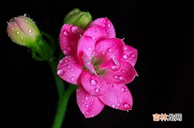 爱自己 答应我,不管怎么样,请别忘记好好爱自己