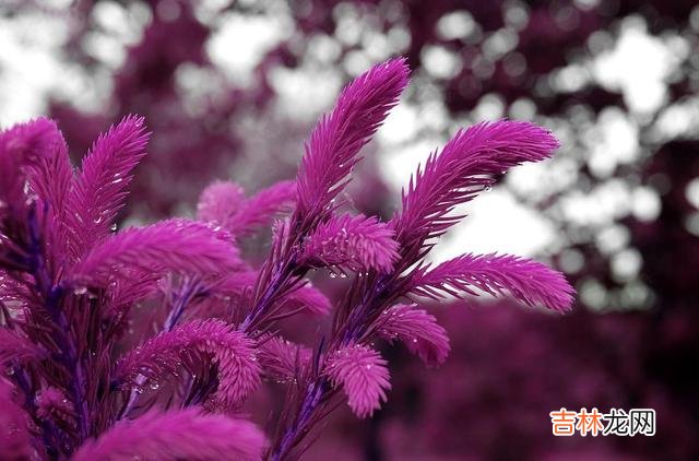 爱自己 答应我，不管怎么样，请别忘记好好爱自己