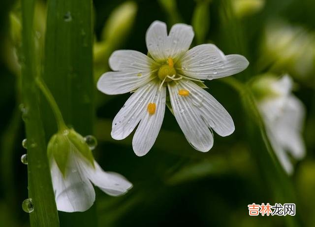 爱自己 答应我，不管怎么样，请别忘记好好爱自己