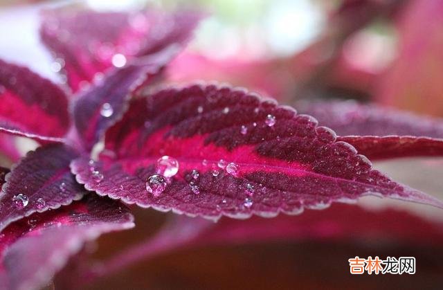 爱自己 答应我，不管怎么样，请别忘记好好爱自己