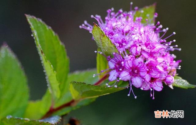 爱自己 答应我，不管怎么样，请别忘记好好爱自己