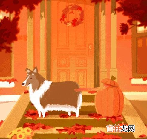 在这个生活节奏日益加快的社会中 只有生病时,才能真正体会,健康对于自己和家人的意义