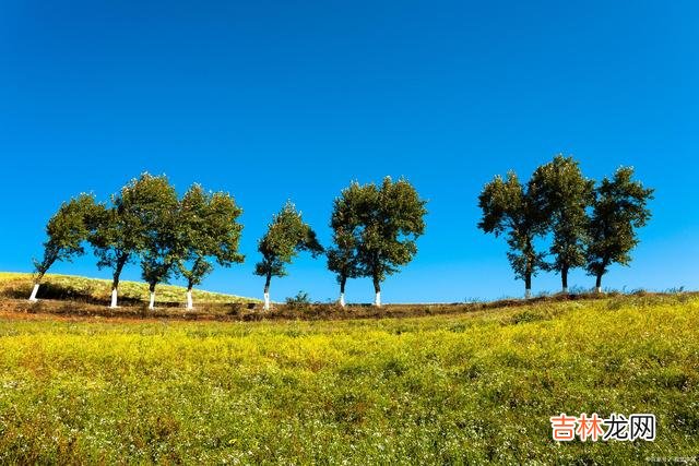 王尔德说：“在我年轻的时候 有钱的日子叫生活，没钱的日子只能叫生存