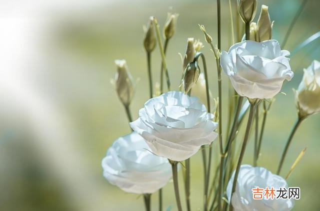 一直以来 真正的爱，是没有出路的，不会有婚姻，也不会有一生一世的扶持
