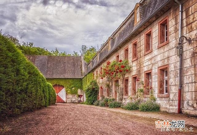 曾经听过很多关于“傻姑娘”的故事 没有面包的婚姻，其实是最可悲的