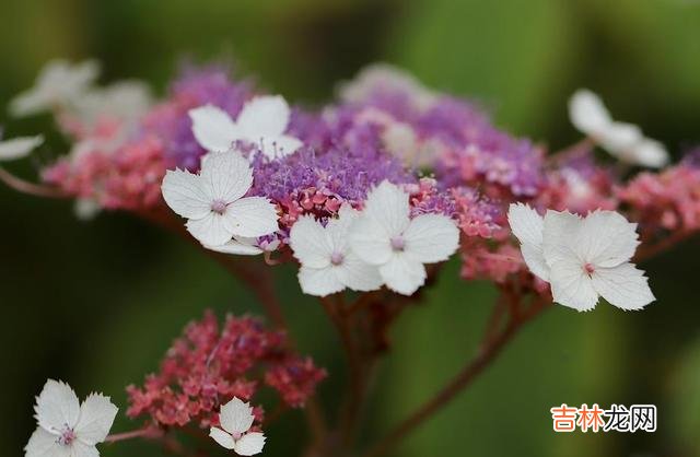 《庄子·逍遥游》里有这样一句话：“鹪鹩巢于深林 财富生不带来死不带去，余生这么短，何必纠结这些身外之物呢？