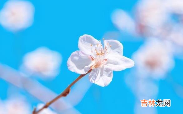 生活中 肆无忌惮地践踏你的善意，遇到这样的人，最好的办法就是远离