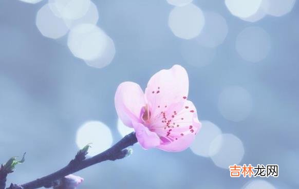 生活中 肆无忌惮地践踏你的善意，遇到这样的人，最好的办法就是远离