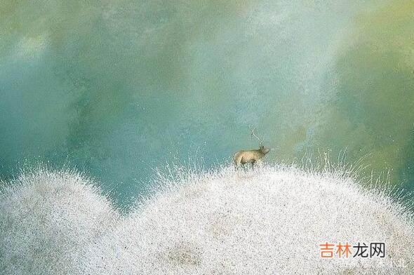 这个世界并不完美 人这辈子最大的对手,不是其他人,而是自己!