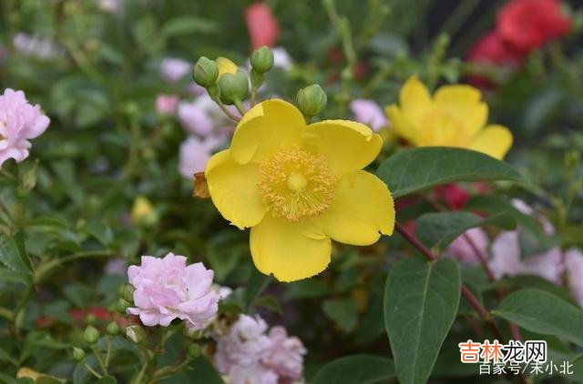 格局 从你花钱的格局，就能看出来，你这个人的品味到底怎么样？