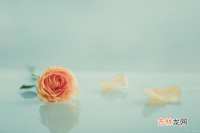 其实 78岁的老人说过这2件事，不管是在生活中，你就已经赢了