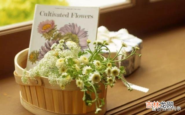 一个人的命好不好,不看面相,由3种心态决定自己的心态