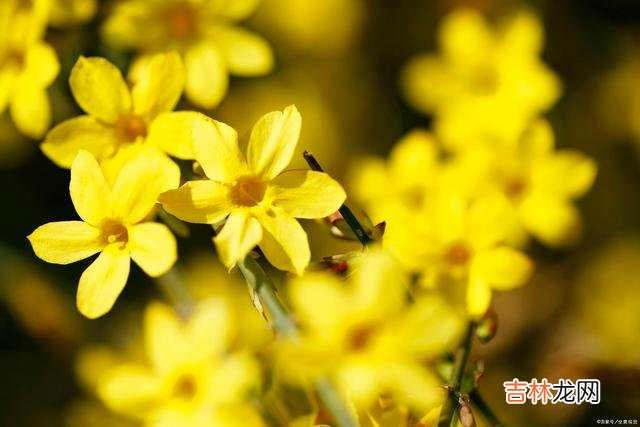 下午的时候 去兄弟姐妹家长住,不要超过三天