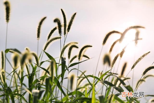 下午在网上刷视频 偏心的父母，不管再有钱，孩子再多，也会晚景凄凉