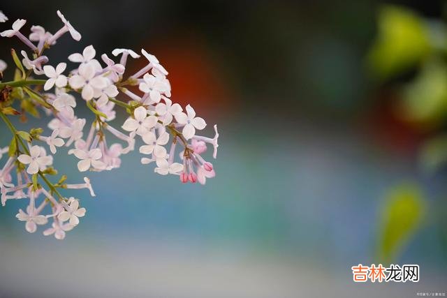 下午在网上刷视频 偏心的父母，不管再有钱，孩子再多，也会晚景凄凉