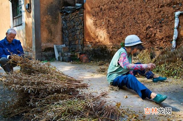 年轻的时候 82岁的张爷爷后来的说法,不管儿子还是女儿,都是一样的待遇