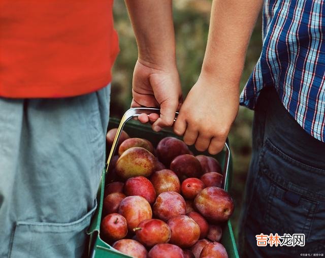 家庭的发展 家庭最大的不幸，不是没钱，而是把自己的4个秘密踩在地上