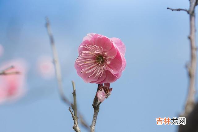 并不是所有的相遇 并不所有的爱，都能有结果，都能不离不弃