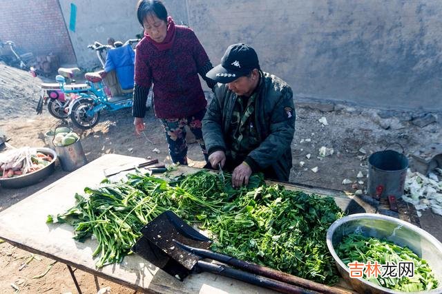 在生命的更替交迭中 人与人之间的关系，不管多么亲密，总体而言还是得讲究一些客气