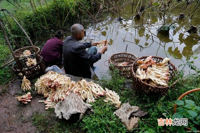 在生命的更替交迭中 人与人之间的关系，不管多么亲密，总体而言还是得讲究一些客气