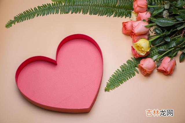 并不是所有的婚姻 夫妻之间，长期处于冷战状态，彼此不搭理，犹如陌生人