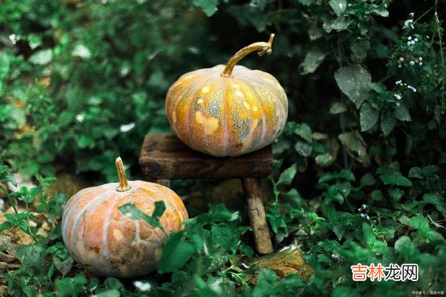 这才是家家有本难念的经的真正原因：理智和苦衷无法并行