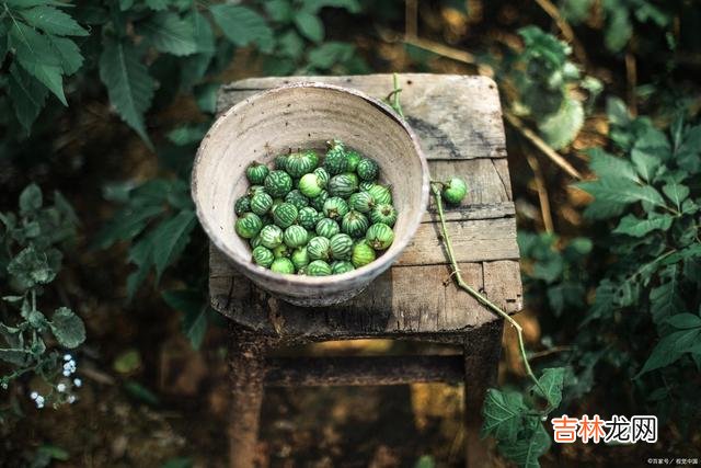 你说 其实，人这一辈子，最好的活法就四个字：享受当下