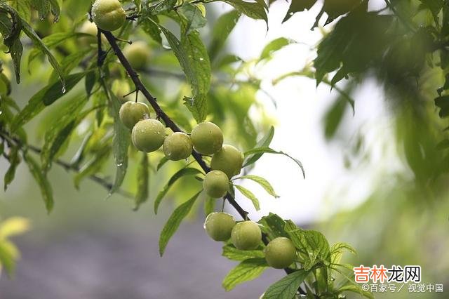 你说 其实，人这一辈子，最好的活法就四个字：享受当下