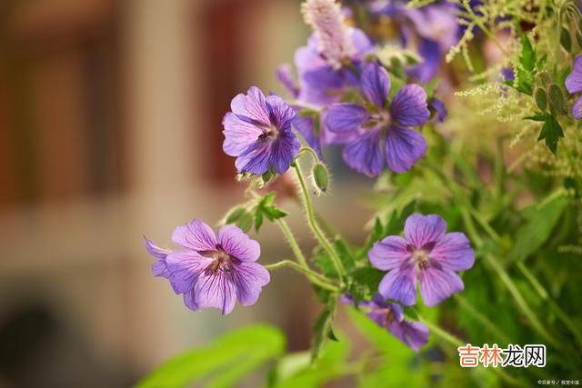 人与人之间的相处 兄弟姐妹间再好，3个秘密也不能说，以免关系破裂，多半是悲哀
