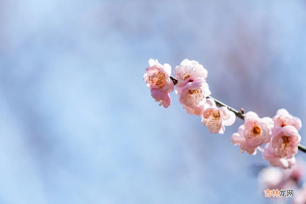 冬天，旅人多辛酸