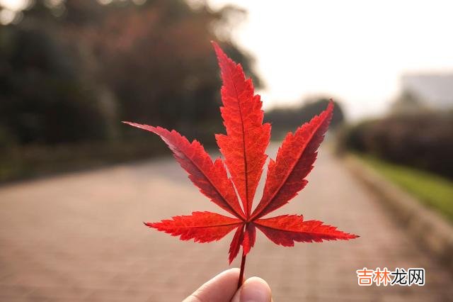 01.这个世界上 感情里，男人对你说这几个秘密，可能会有很多伤痛