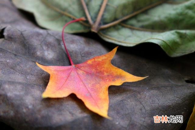 到了中年，要学会扔掉这些东西，余生才能越来越幸福