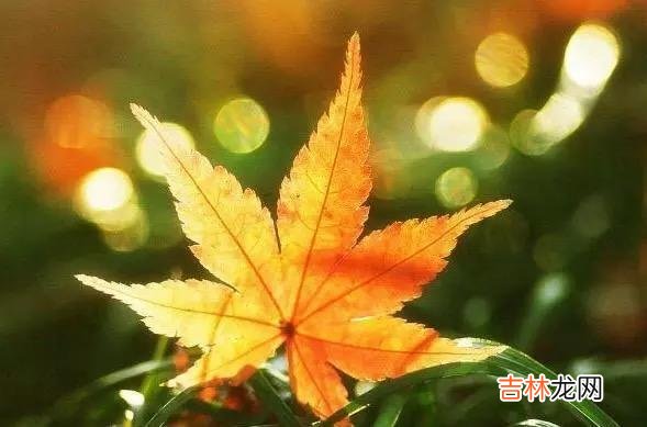 世间有三种情 真正把你当朋友的人，在这些时候，就是瞧不起你