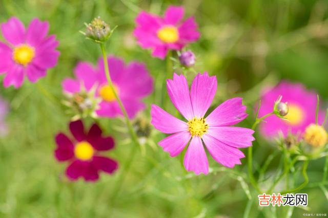 01引言俗话说：“祸从口出 生活中，经常抱怨自己有多么不幸，逢人就说这三件事