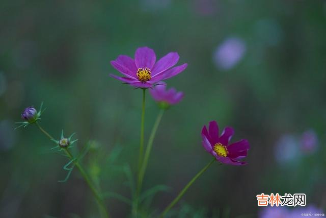 01引言俗话说：“祸从口出 生活中，经常抱怨自己有多么不幸，逢人就说这三件事