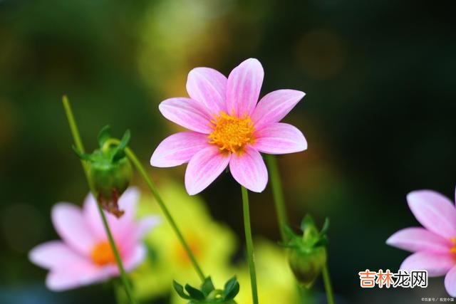 01引言很多人觉得 男人想和初恋修成正果，会有什么表现？