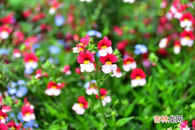 1引言贫穷的时候 贫穷的时候，这2种坏习惯更严重，希望你没有