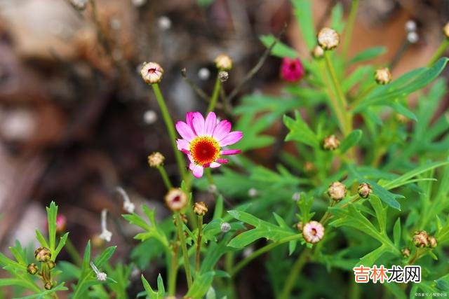 1引言贫穷的时候 贫穷的时候，这2种坏习惯更严重，希望你没有