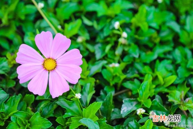 1引言贫穷的时候 贫穷的时候，这2种坏习惯更严重，希望你没有