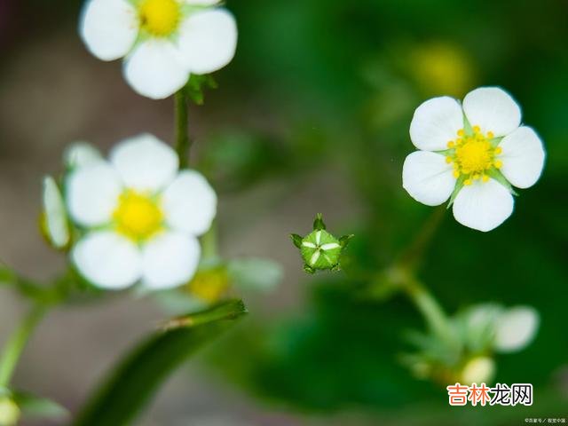 01引言爱 一个男人爱不爱你，看他是否舍得花时间去陪伴你