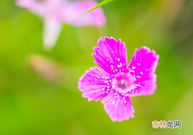 01引言有道是 如果，你生活中想活得轻松自在，请一定要整理好自己