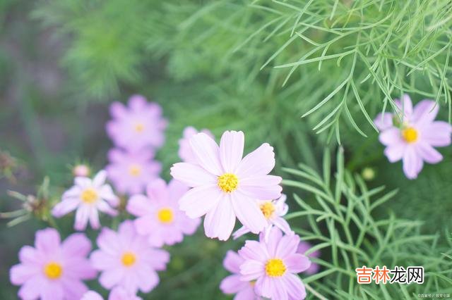 01引言有道是 如果，你生活中想活得轻松自在，请一定要整理好自己