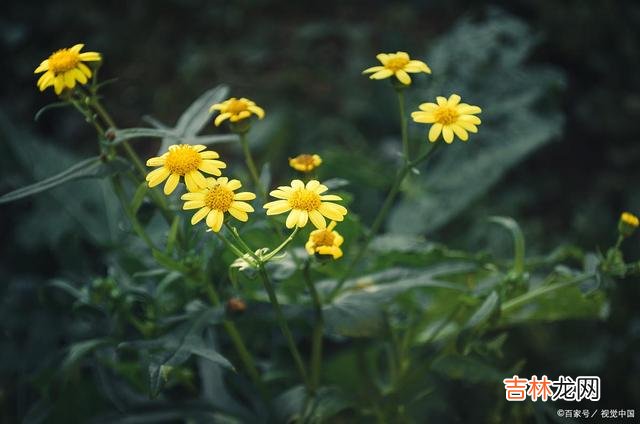 人生就是一场修行 人生在世，别总是把希望寄托在别人身上
