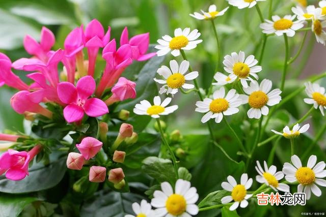 01引言人人都想做一个高情商的人 喜欢说讥讽话的人，往往都是高情商的表现