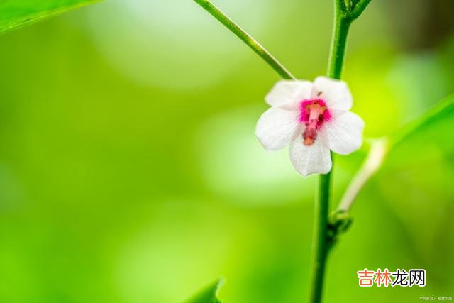 01引言人人都想做一个高情商的人 喜欢说讥讽话的人，往往都是高情商的表现